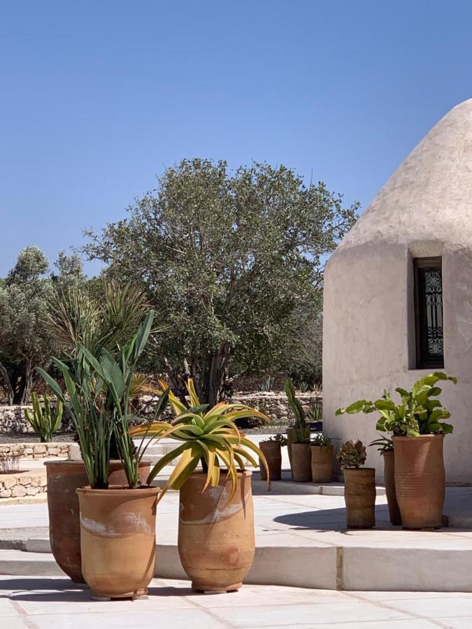 Les Jardins De Villa Maroc Essaouira Eksteriør billede
