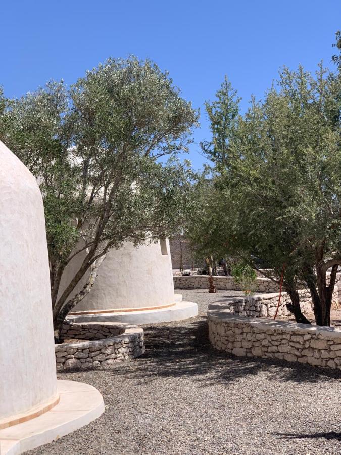 Les Jardins De Villa Maroc Essaouira Eksteriør billede